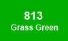 813 Grass Green 813 Grass Green